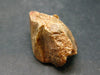 Rare Huge Monazite Crystal From Brazil - 1.3" - 23.85 Grams