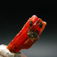 Large Orange Crocoite Crystal From Australia - 0.7" - 13.60 Carats