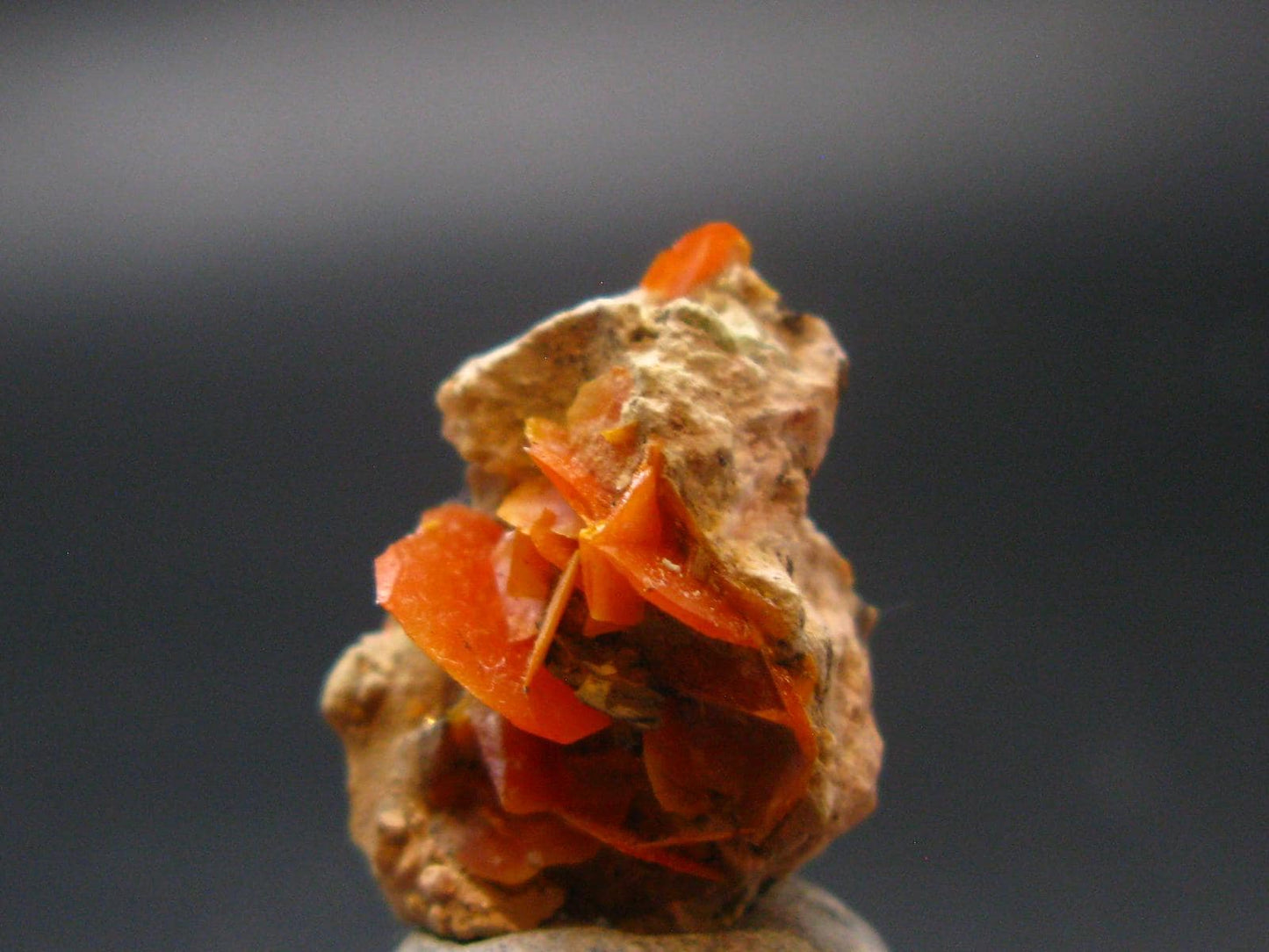 Wulfenite Cluster From Arizona - 0.8"