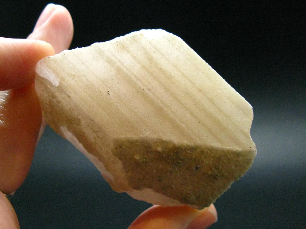 Nice Gem Danburite Crystal From Mexico - 2.3" - 96.52 Grams