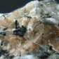 Rare Catapleiite on Natrolite & Aegirine cluster from Canada - 2.2"