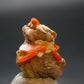 Wulfenite Cluster From Arizona - 0.8"