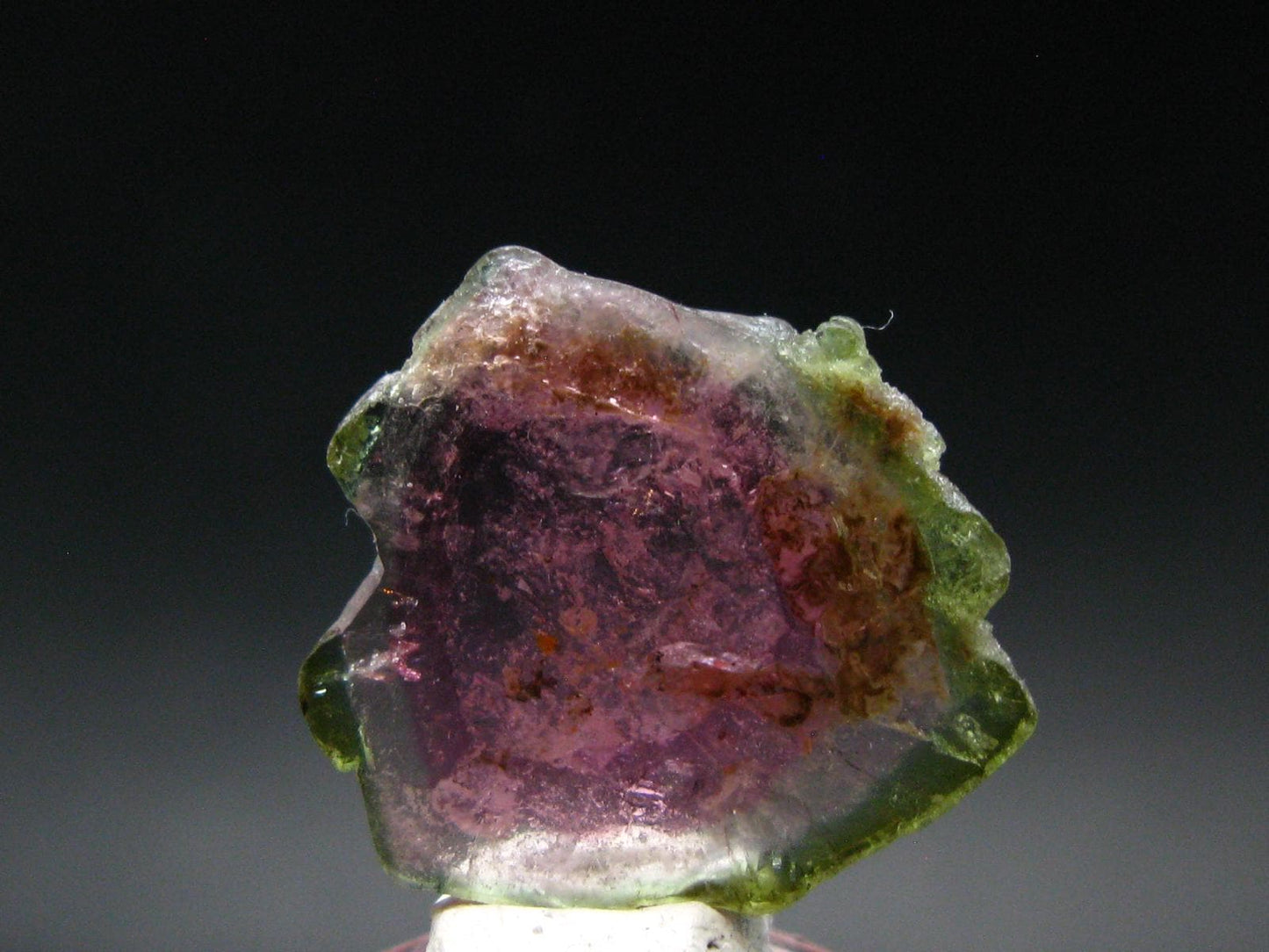 Rare Watermelon Tourmaline Crystal Slice From Brazil - 8.75 Carats