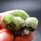 Rare 94.65 Carat Gem Peridot Olivine Cluster from Pakistan - 1.3"