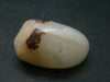 Rare Cryolite Tumbled Stone From Greenland - 0.9" - 7.65 Grams