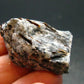 Astrophylite Astrophyllite Cluster From Russia - 1.3" - 14.54 Grams