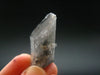 Nice Terminated Tibetan Black Quartz Crystal from Tibet - 1.4" - 11.70 Grams