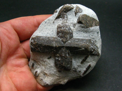 A Perfect Staurolite Crystal on Matrix from Russia - 3.4" - 164 Grams