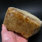 Enormous Gold Danburite from Madagascar - 9.3" - 2014 Grams