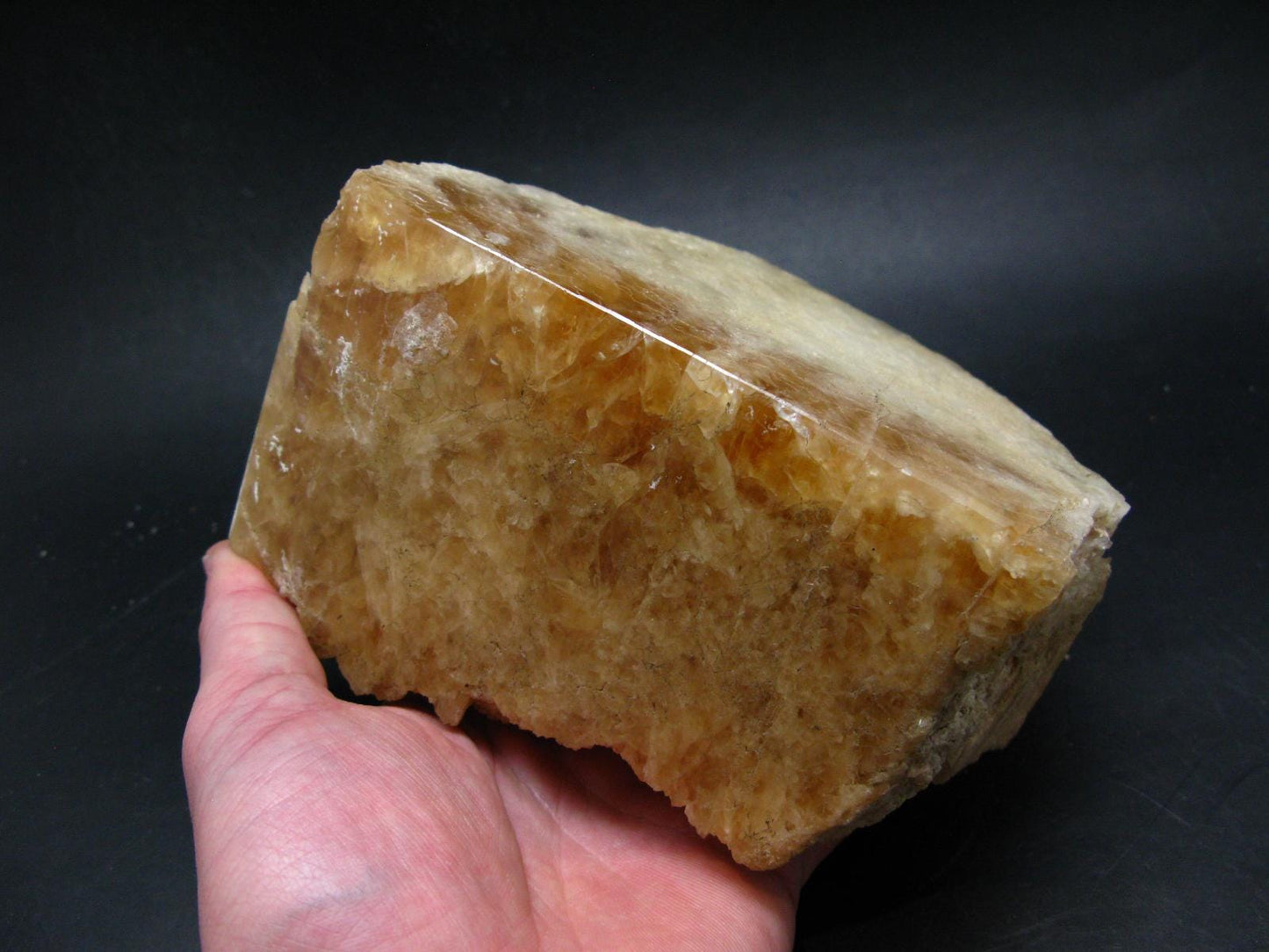 Enormous Gold Danburite from Madagascar - 9.3" - 2014 Grams