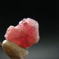 Rare Pezzottaite Crystal from Madagascar - 3.80 Carats - 0.5"