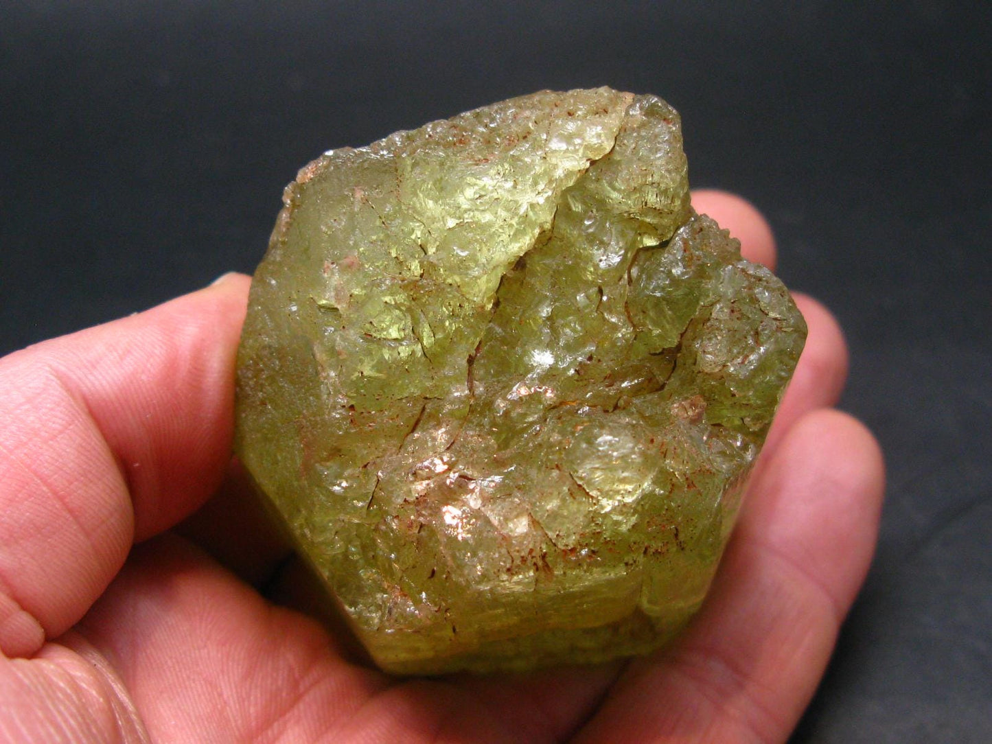 Gem Heliodor Golden Beryl Crystal From Tanzania - 243.63 Grams - 2.6"