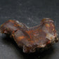 Fire Agate Crystal From Mexico - 1.3" - 10.0 Grams
