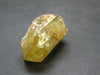 Large Gem Golden Apatite Crystal From Mexico - 1.1" - 14.83 Grams