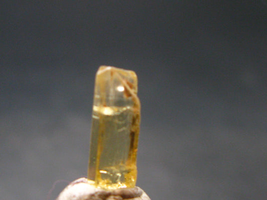 Gem Heliodor Golden Beryl Crystal From Tajikistan - 0.35 Grams - 0.5"