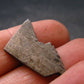 Large Gibeon Meteorite From Namibia - 0.8" - 3.6 Grams