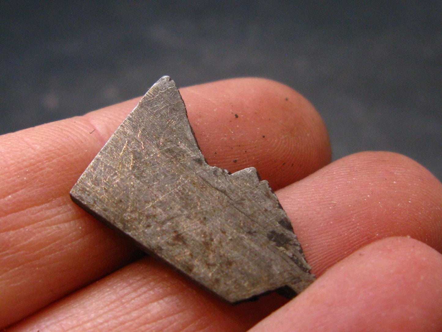 Large Gibeon Meteorite From Namibia - 0.8" - 3.6 Grams