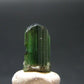 Rare Watermelon Tourmaline Crystal From Brazil - 0.5"