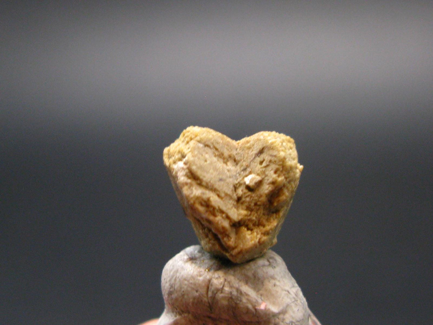 Rare Monazite Crystal From Brazil - 0.4" - 2.37 Grams