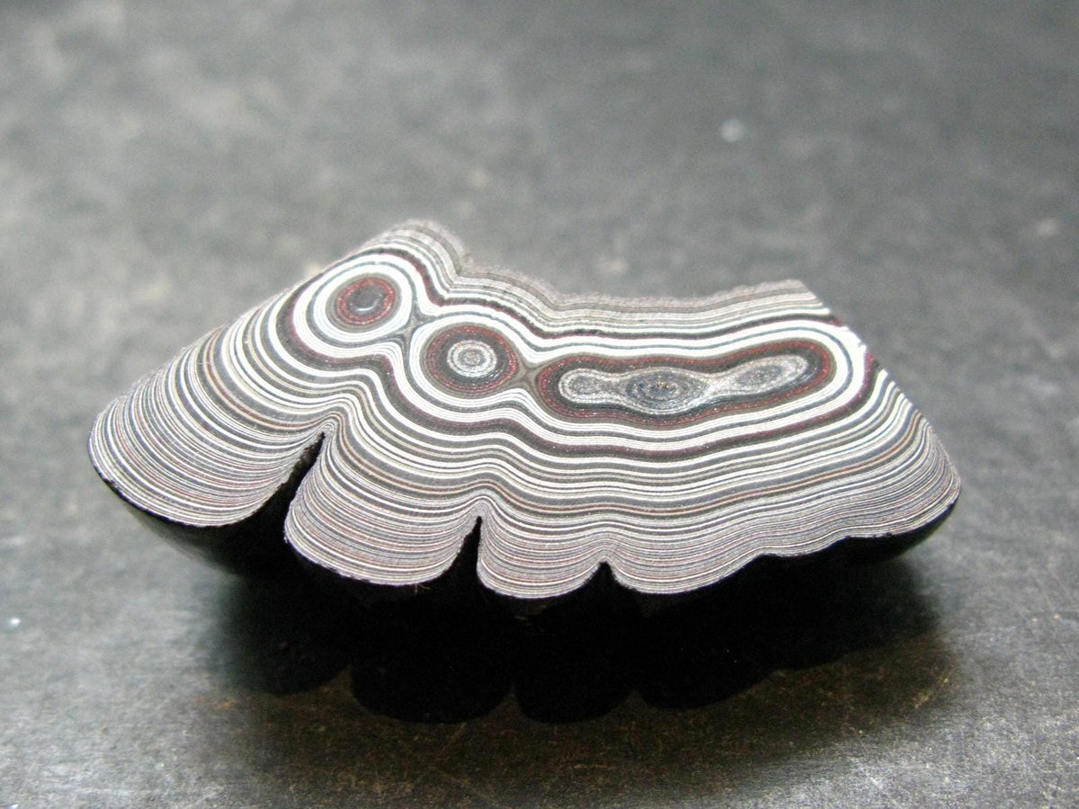Very Cool Fordite "Detroit Motor City Agate" from Michigan - 1.6"- 8.07 Grams