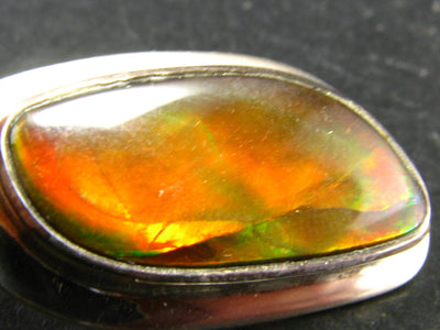 Ammolite Amolite Pendant in Sterling Silver + Chain From Canada