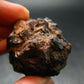Rare Prophecy Stone Limonite after Pyrite From Egypt - 1.5" - 72.68 Grams