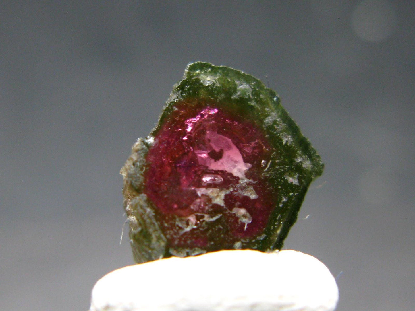 Rare Watermelon Tourmaline Crystal Slice From Brazil - 2.45 Carats