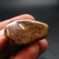 Rare Bustamite Piece from South Africa - 1.3" - 20.27 Grams