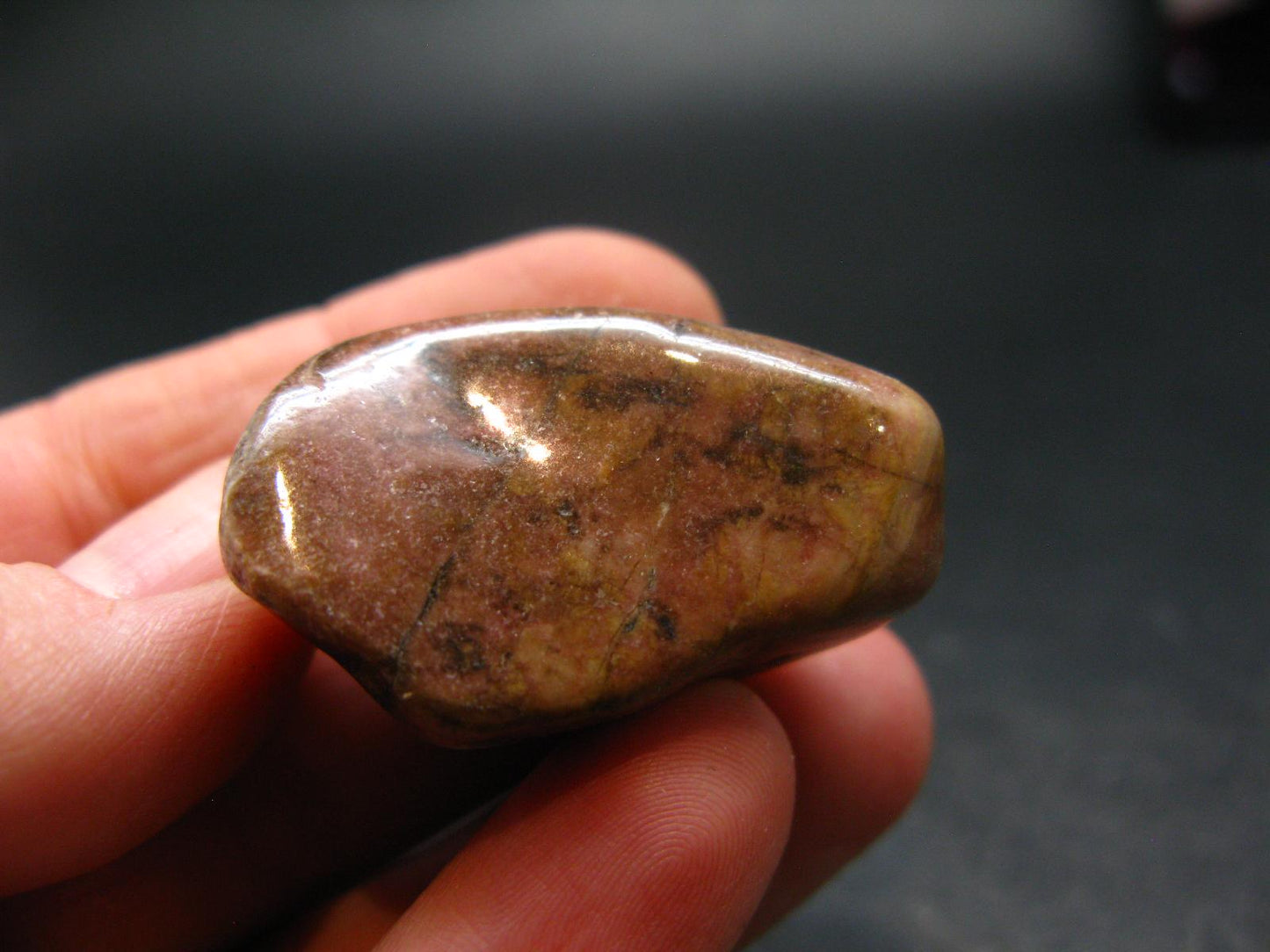 Rare Bustamite Piece from South Africa - 1.3" - 20.27 Grams