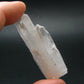 Synergy 12 Set Phenakite Moldavite Natrolite Petalite Danburite Tektite Scolecite Herderite Tanzanite Brookite 135.64 Gr