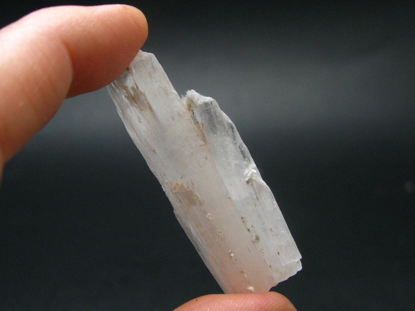 Synergy 12 Set Phenakite Moldavite Natrolite Petalite Danburite Tektite Scolecite Herderite Tanzanite Brookite 135.64 Gr