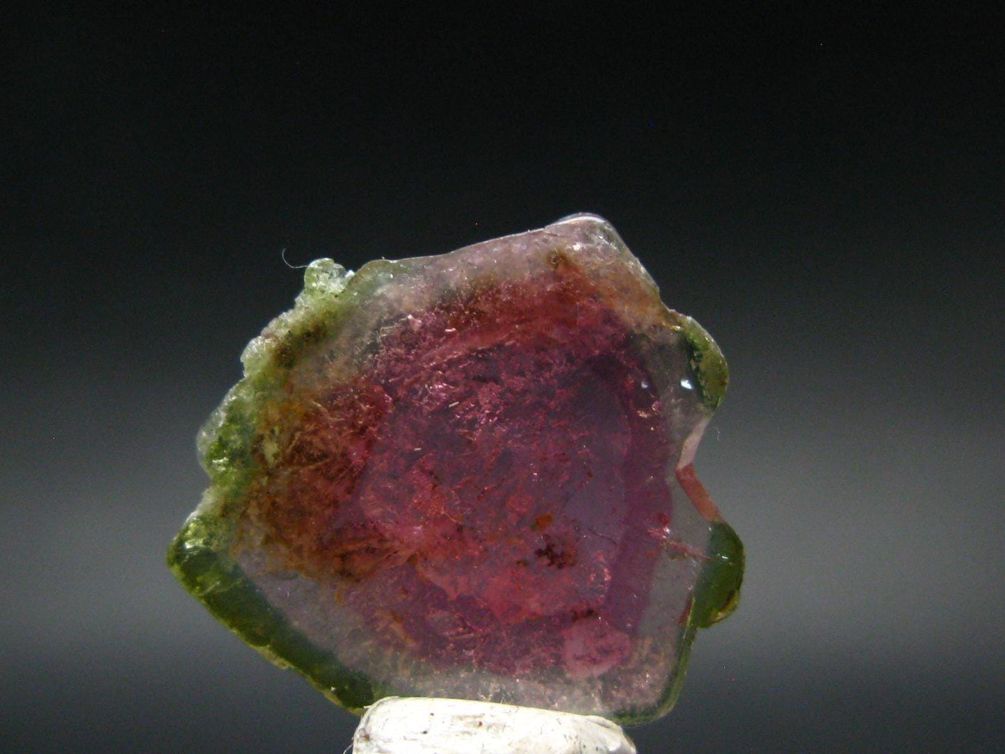 Rare Watermelon Tourmaline Crystal Slice From Brazil - 8.75 Carats