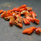 Lot of 25 Orange Crocoite Crystals From Australia