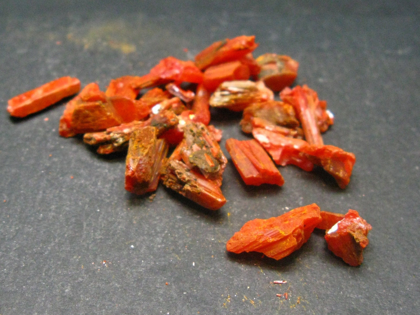 Lot of 25 Orange Crocoite Crystals From Australia