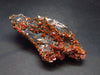 Large Vanadinite Cluster From Morocco - 4.7" - 253.1 Grams