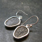 Trilobite Silver Earrings from USA - 1.3" - 4.38 Grams