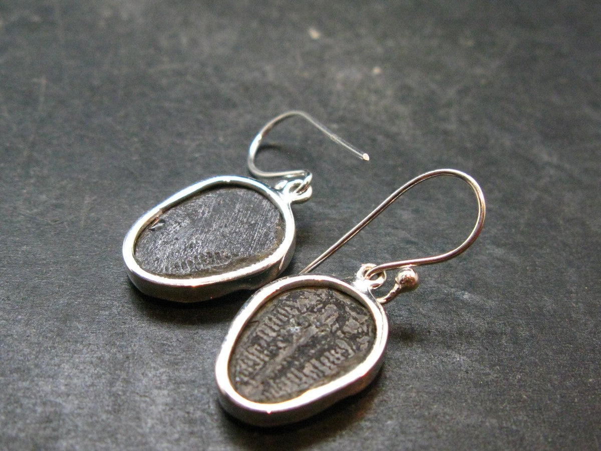 Trilobite Silver Earrings from USA - 1.3" - 4.38 Grams
