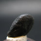 Rare Saffordite Cintamani Stone Pseudotektite Piece from Arizona USA - 7.10 Carats - 0.6"