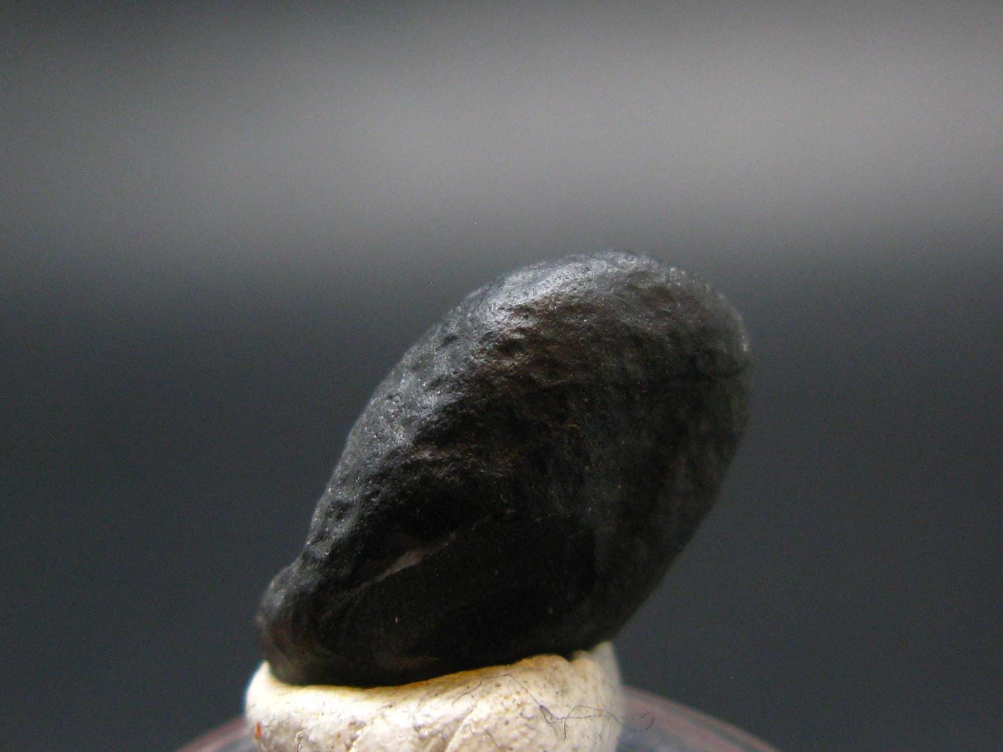 Rare Saffordite Cintamani Stone Pseudotektite Piece from Arizona USA - 7.10 Carats - 0.6"