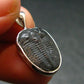 Trilobite Silver Pendant from USA - 0.9" - 1.57 Grams
