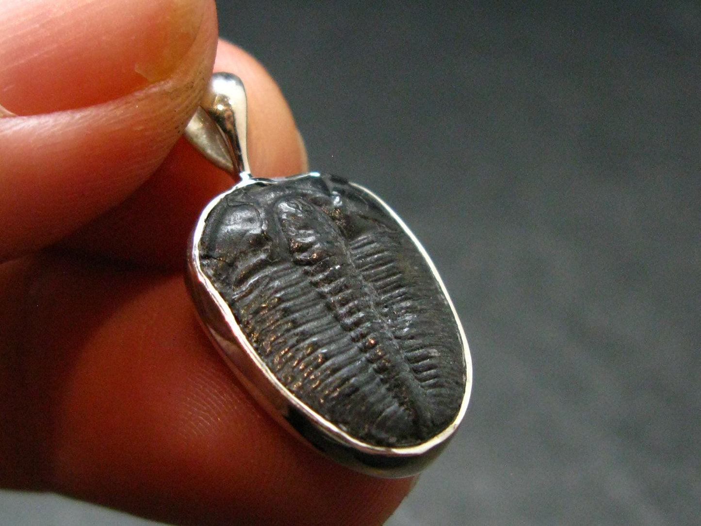 Trilobite Silver Pendant from USA - 0.9" - 1.57 Grams