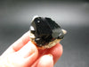 Fine Black Tourmaline Schorl Crystal From Namibia - 1.2"