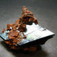 Vivianite Crystal From Bolivia - 2.5"