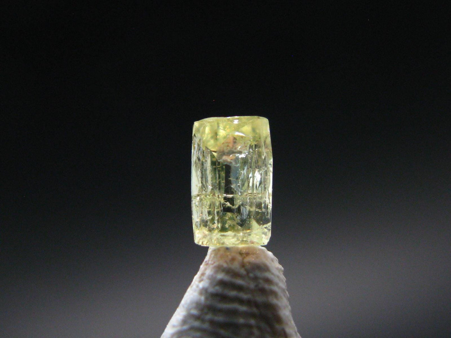 Rare Gem Vesuvianite Cut Stone from Canada - 0.25 Carats