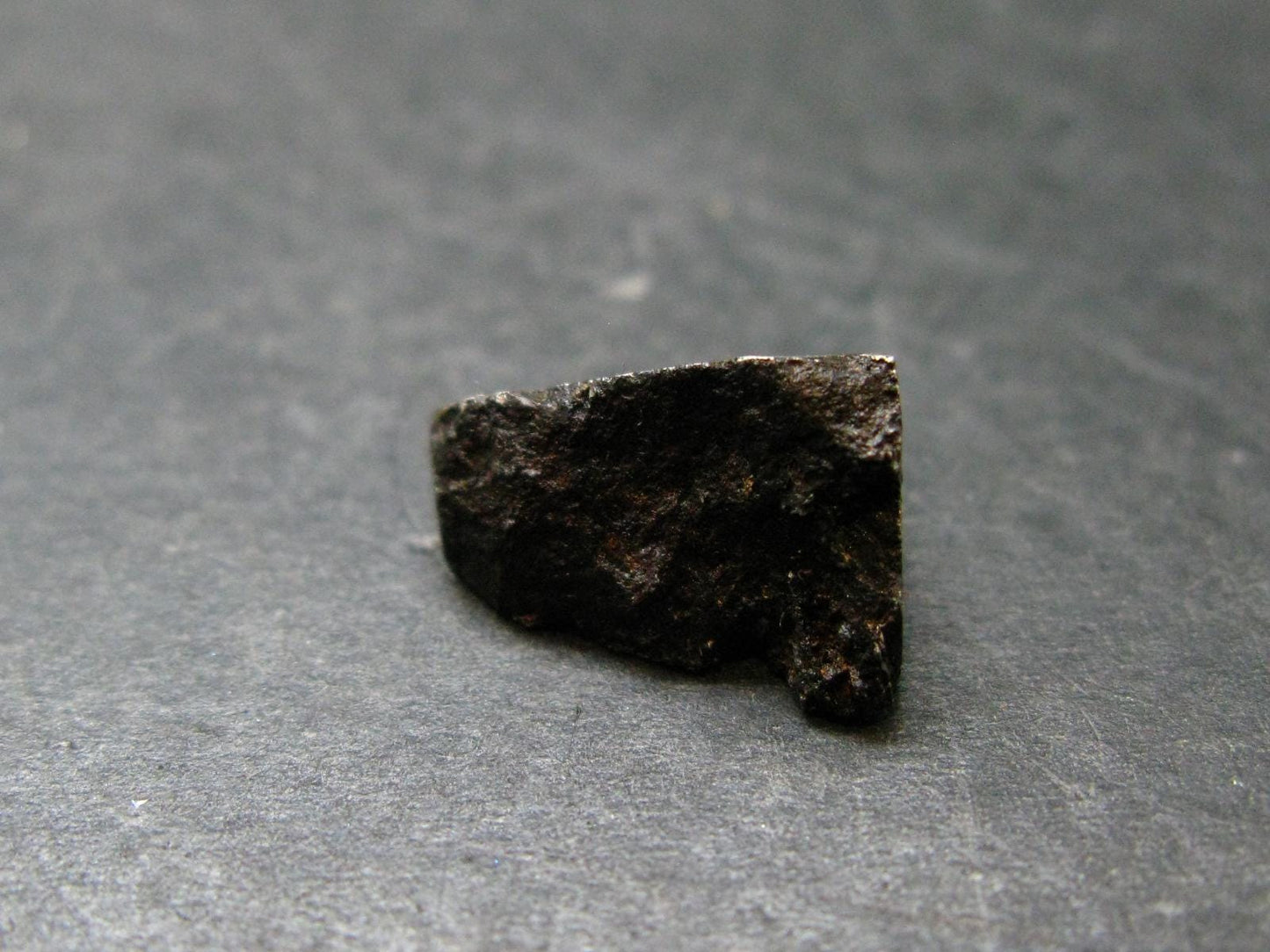 Large Gibeon Meteorite From Namibia - 0.5" - 4.94 Grams