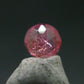 Rare Large Pezzottaite Pink Beryl Cut Facetted Gem from Madagascar - 0.48 Carats