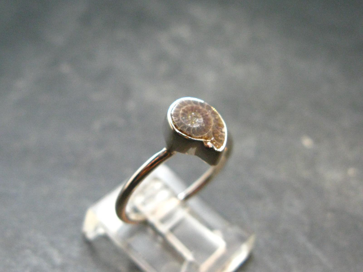 Natural Whole Polished Agatized Ammonite Cleoniceras Sterling Silver Ring from Madagascar - 1.79 Grams - Size 7
