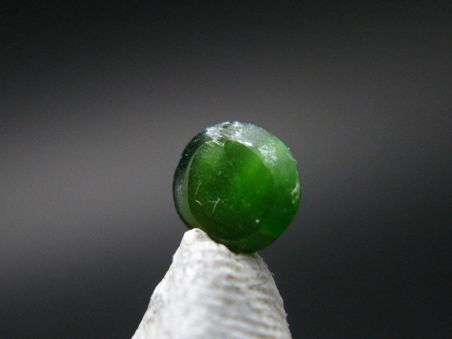 Rare Gem Kornerupine Cats Eye Cabochon from India - 0.54 Carats