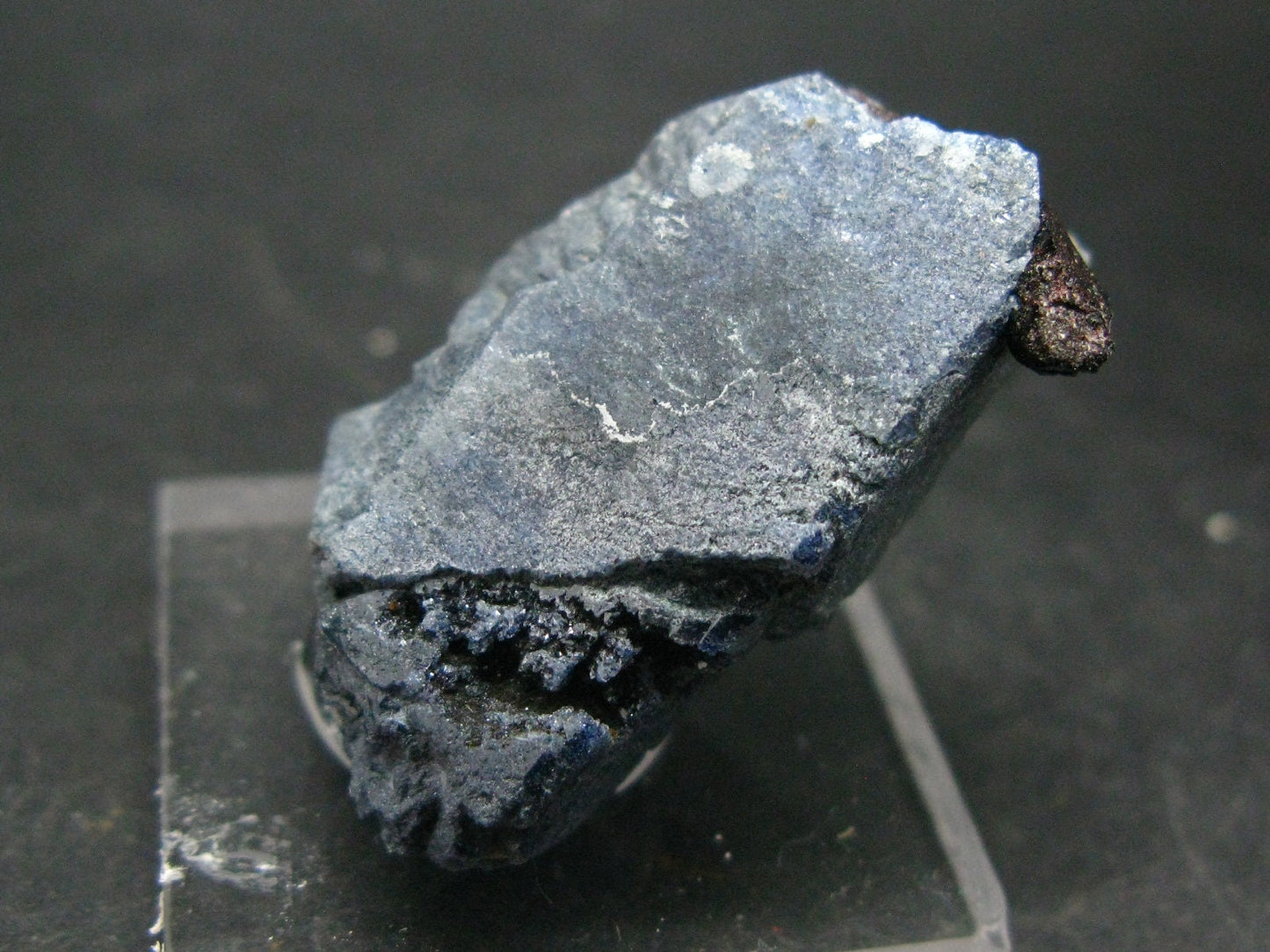 Large Benitoite Crystal From California with Neptunite - 105 Carats - 1.4"