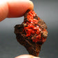 Rare Orange Crocoite Cluster From Australia - 1.4"- 11.53 Grams